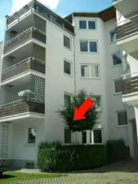 Hinterhof