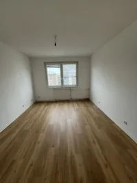 WZ1